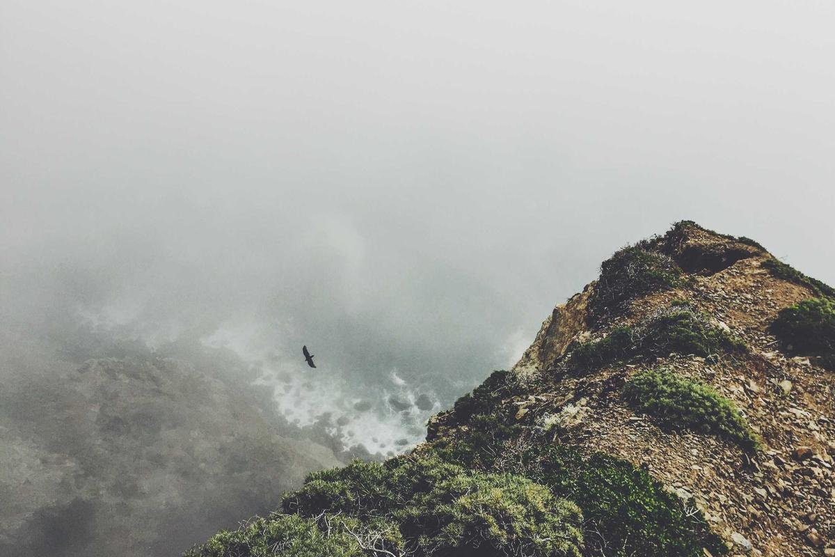 Alexandra Eala: Strategic Analysis of a Tennis Powerhouse
