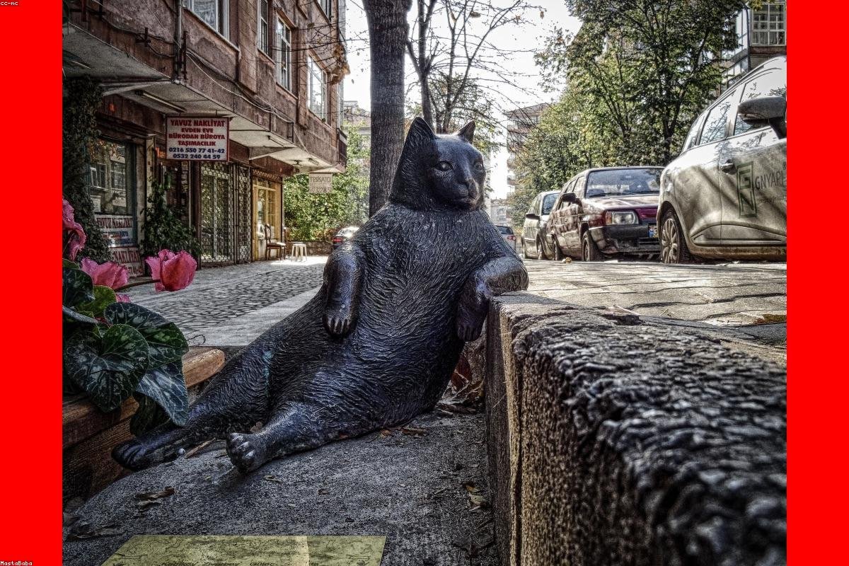 The Rajya Sabha chamber in the Parliament of India