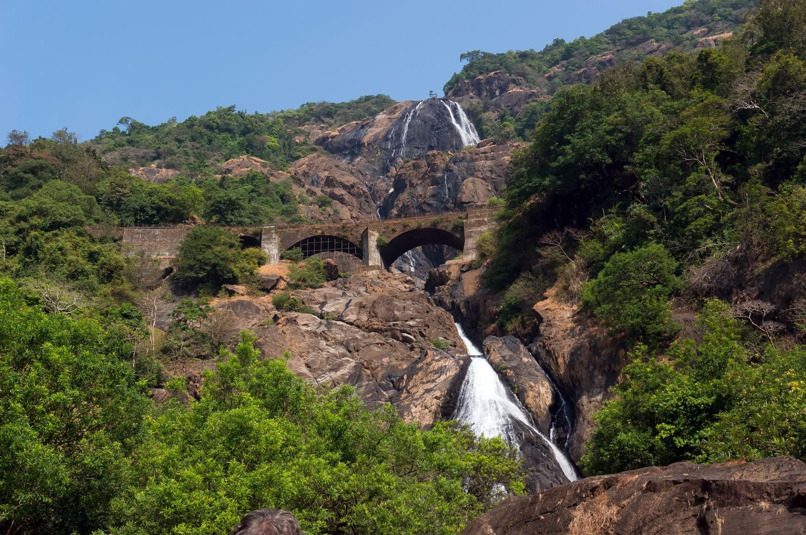 Dudhsagar - natural landmark of the state of Goa. Reserve in the mountains