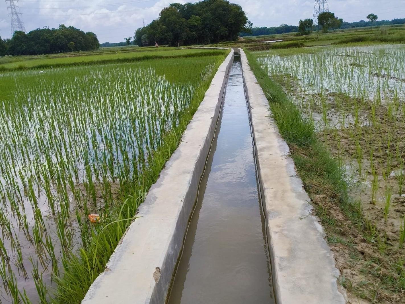 Expansion of irrigation through canals in Madhubani | मधुबनी में नहरों से सिंचाई का विस्तार: पश्चिमी कोशी नहर से 15,794 हेक्टेयर, कमला नहर से 2,035 हेक्टेयर भूमि सिंचित - Madhubani News | Dainik Bhaskar