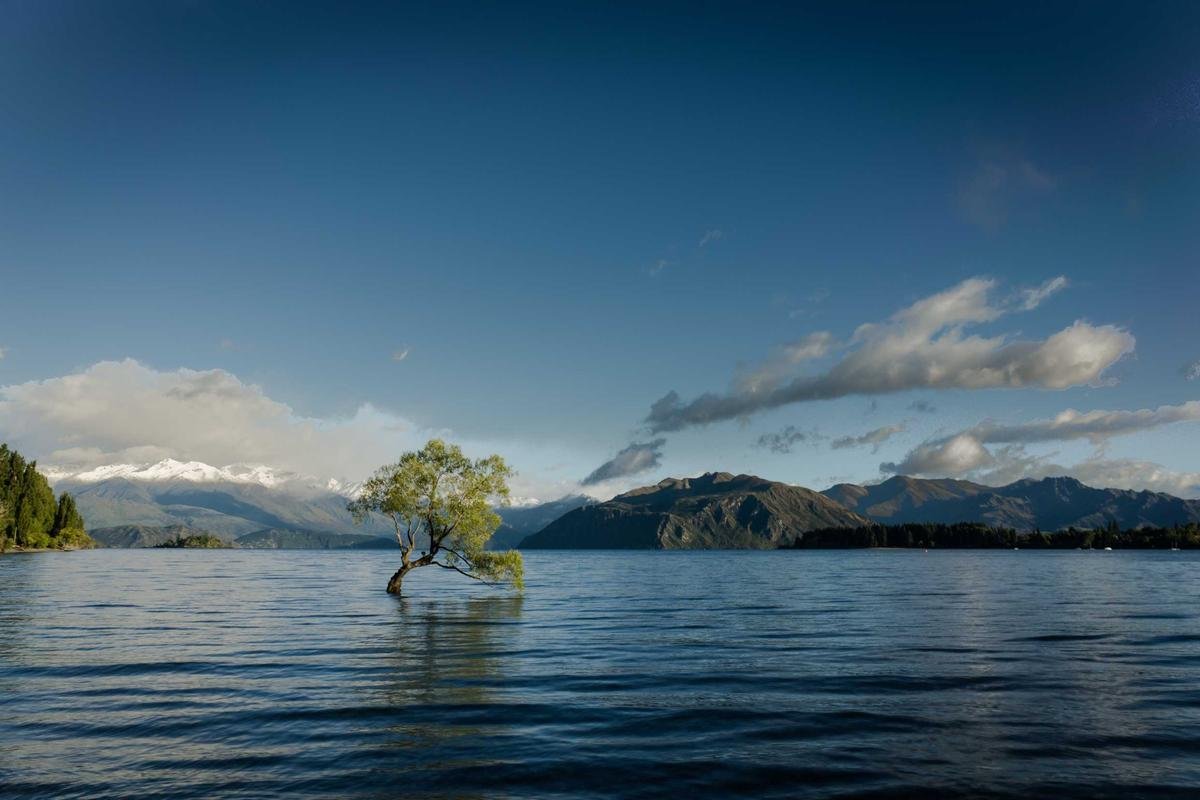 Climate Resilience & Disaster Management