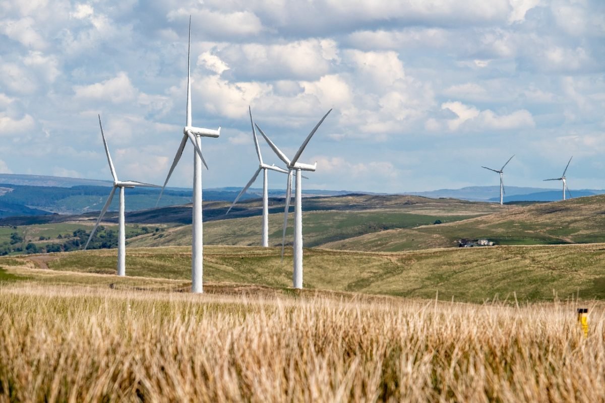 Climate Strategy & Sustainability Trends