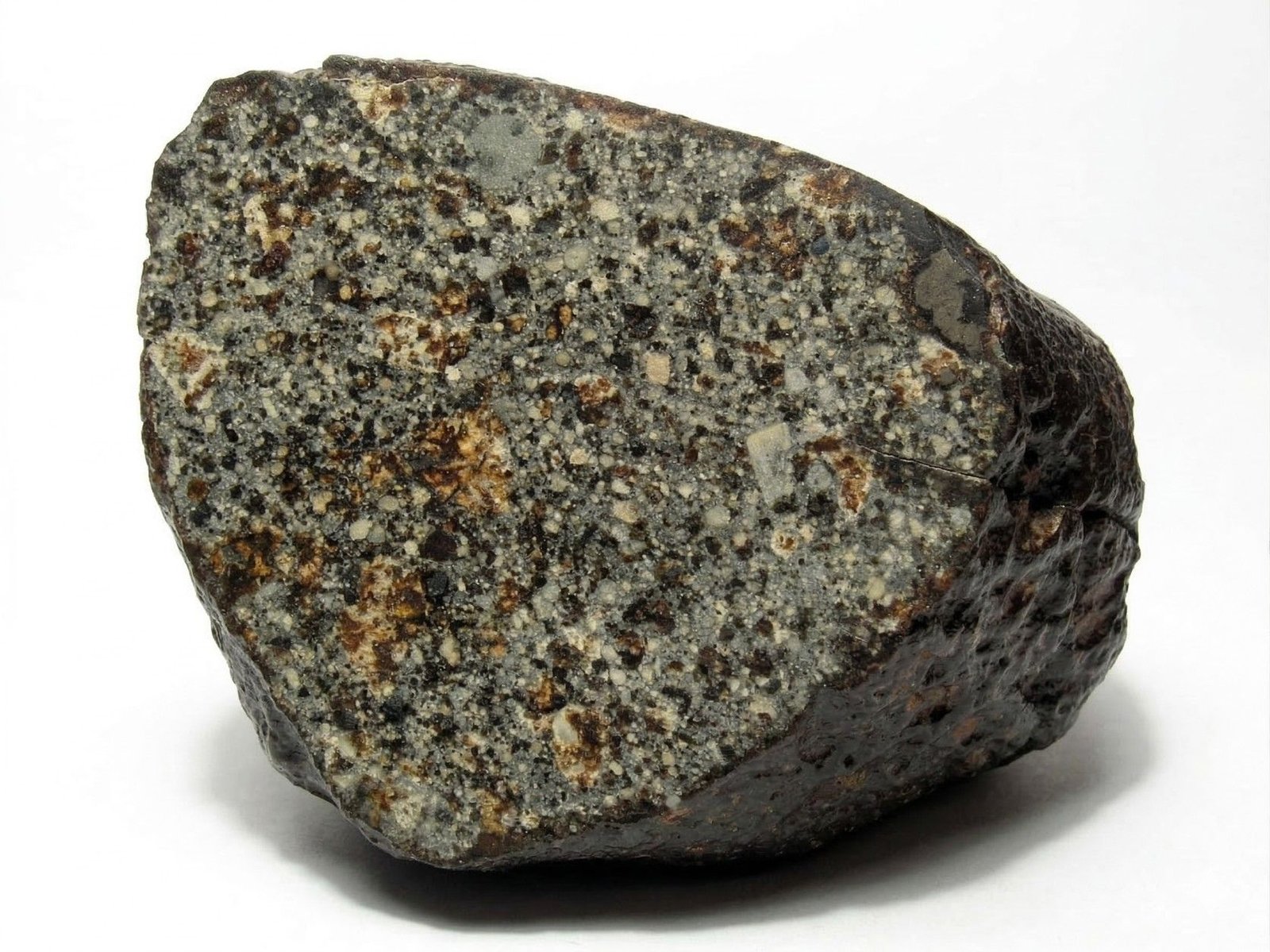 The Fascinating World of Meteorites in Germany: A Comprehensive Guide