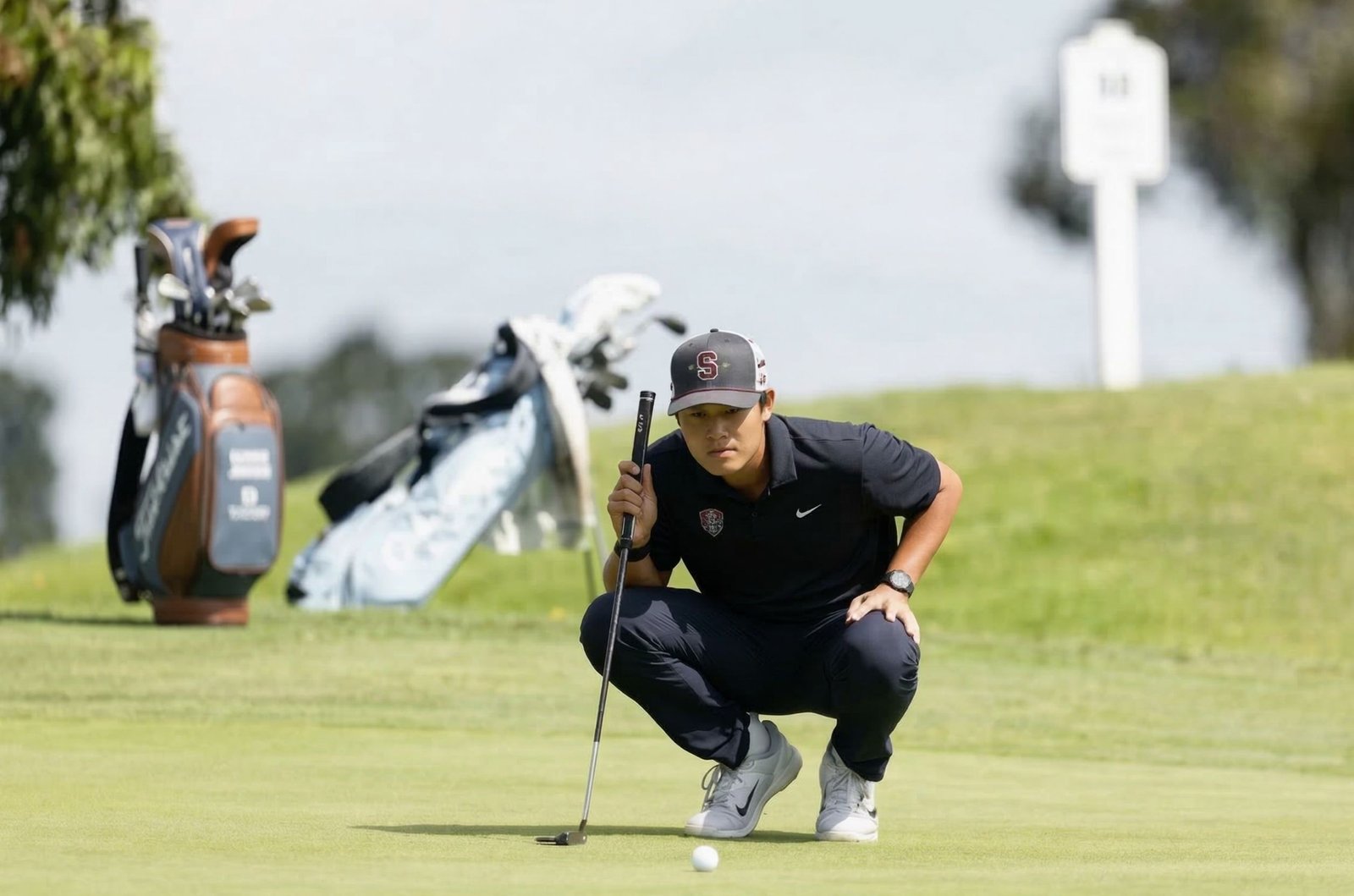 SDSU 2024-2026: A Comprehensive Guide to Research, Athletics, and Strategic Partnerships