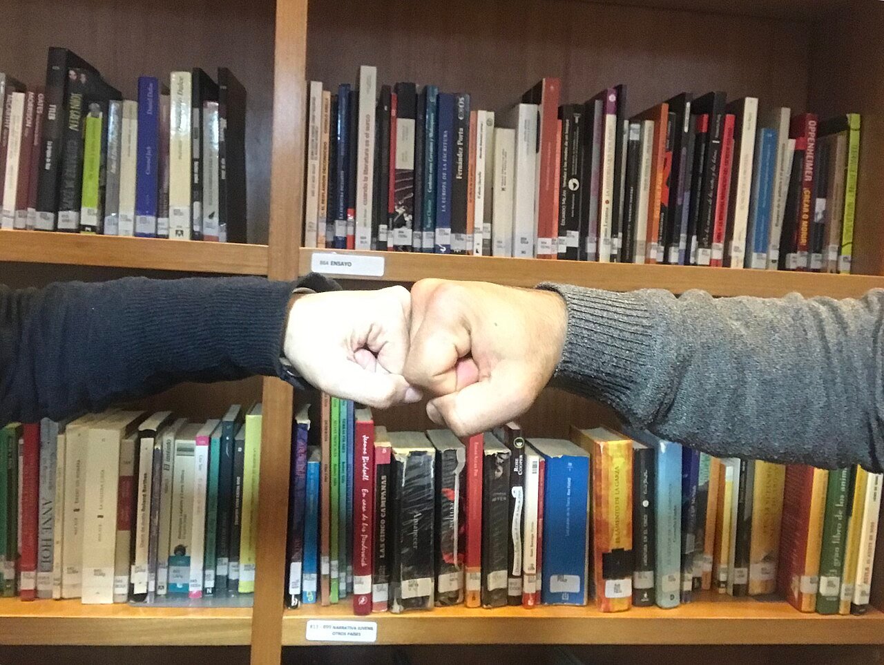 Cricket players handshake