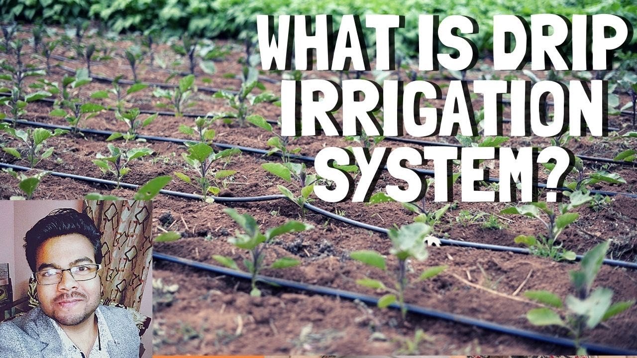 Smart farming and irrigation in rural Maharashtra
