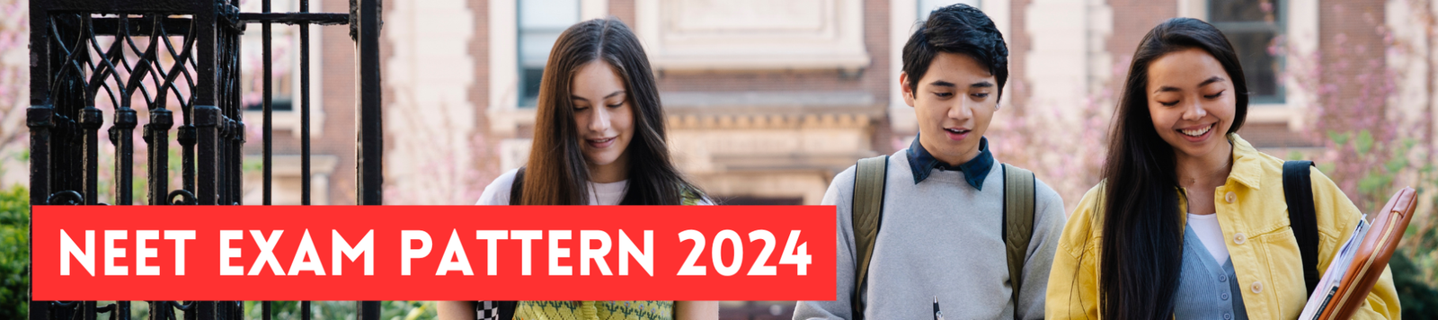 Table illustrating the distribution of questions and marks across Physics, Chemistry, and Biology