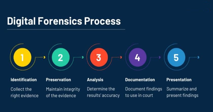 Nolan Wells Autopsy: Strategic Forensic and Safety Analysis