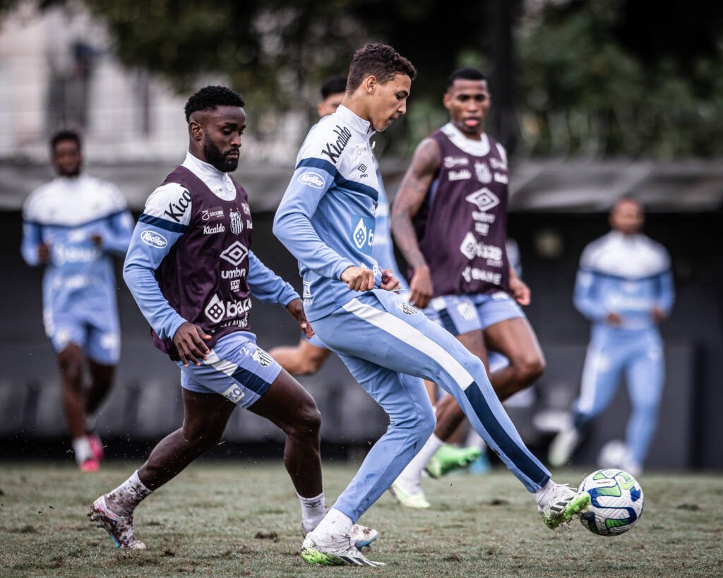 Santos FC Strategic Analysis: Legacy and Financial Recovery