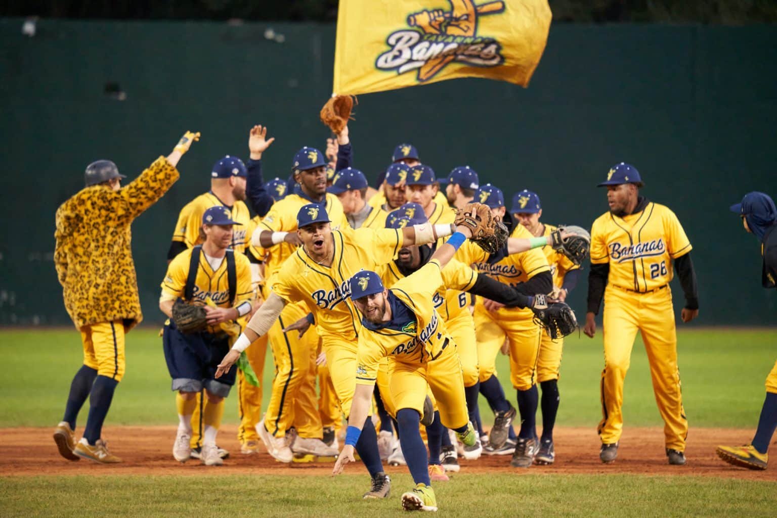 Savannah Bananas: Strategic Analysis of Sports Disruption