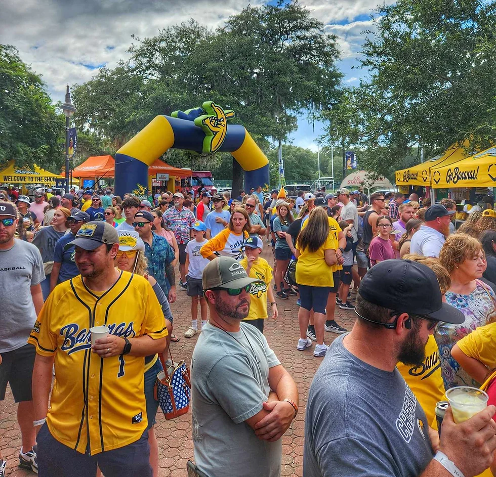 Savannah Bananas: Strategic Analysis of Sports Disruption