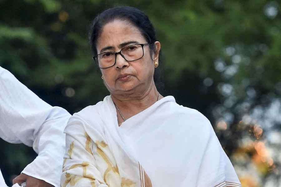 A portrait of Mamata Banerjee in her signature white sari and shawl
