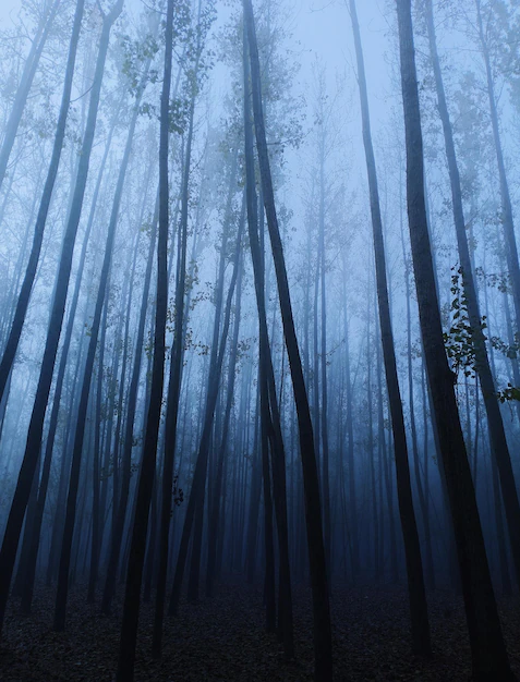 Checking weather forecast on smartphone