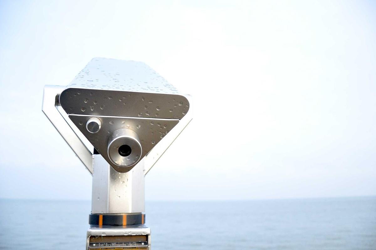 Verity Reviews: Strategic Analysis of Trust in Digital Markets