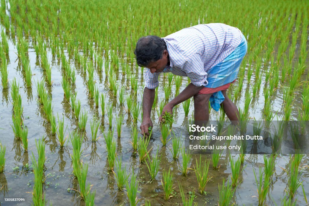 West Bengal Public Policy: A Strategic Economic Analysis